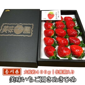 美味いちご園 さぬきひめ 大粒約400g化粧箱入り（18粒） 香川県産