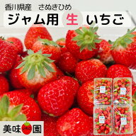 訳あり さぬきひめ いちご 約1kg/2kg/4kg（香川県産 ジャム用苺・加工用・冷蔵便）
