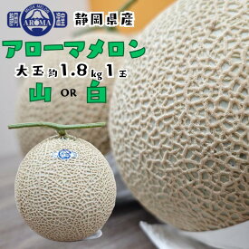 【静岡県産】アローマメロン 大玉 1玉 約1.8kg プレミアムギフト 化粧箱入 山/白