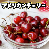 【送料無料】アメリカンチェリー 10.5R 大粒 1kg 2kg 青果市場直送 冷蔵便 さくらんぼ チェリー American…