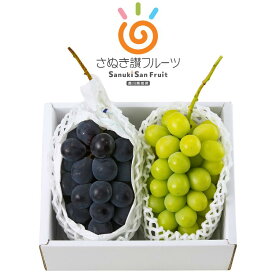 【お中元 夏ギフト】さぬき讃フルーツ シャインマスカット＆ピオーネセット（香川県産）冷蔵便 ギフト包装付き