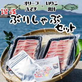 【送料無料】香川県産 オリーブハマチ 高級ぶりしゃぶセット 180g×2パック 専用だし・食べ方説明書付き 岡田水産 産地直送 冷凍 お刺身品質 贈り物に最適