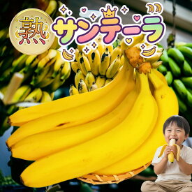 【産地直送】熟サンテーラバナナ エクアドル産 1袋600g以上 袋を開けた瞬間が食べ頃 60年の追熟技術 もっちり甘い 高級バナナ 青臭さなし 送料無料