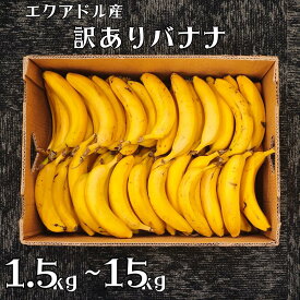 【訳あり】訳有 バナナ 送料無料 エクアドル産 1.5kg 3kg 5kg 10kg 15kg 業務用 大容量 濃厚 甘い ばなな フードロス 食品ロス 規格外 追熟 徳田青果