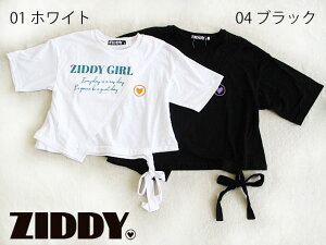 SALE! 50��OFF!! 2023�N�t�ā@ZIDDY �W�f�B�@�؂�ւ����ST�V���c�F140�`150cm�AFREE�F1235-53515
