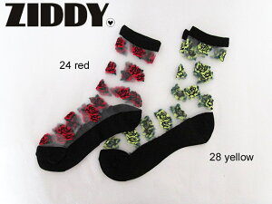 SALE! 60%OFF!! 2018�t�ā@ZIDDY�@�W�f�B�@�o�����V�[�X���[�\�b�N�X�F1239-92501