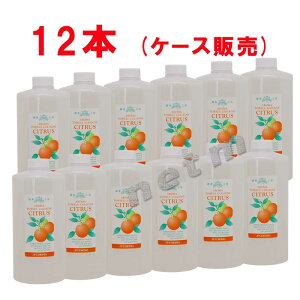 JPRjA A} ^IR VgX 1Li12{jyP[X̔z