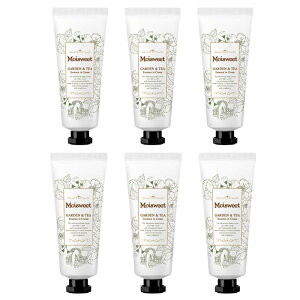 e CXEB[g K[feB[40gi|Xgjy6Zbgz