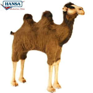 HANSA 2062 t^RuN^102 SF102cm BACTRIANCAMEL BH2062 ʂ nT NX}X a v[g   L   yM Aj} u l` tBMA KOESEN P[Z 傫 