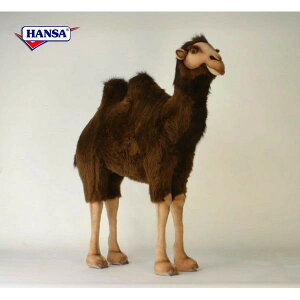 HANSA 2063 t^RuN_130 SF130cm CAMEL BH2063 ʂ nT NX}X a v[g   L   yM Aj} u l` tBMA KOESEN P[Z 傫 }XR