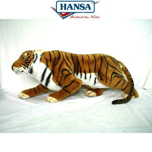 HANSA 3981 g140 SF140cm TIGER RUST PROWLING BH3981 ʂ nT  NX}X a v[g   L   yM Aj} u l` tBMA KOESEN P[Z 傫 }X