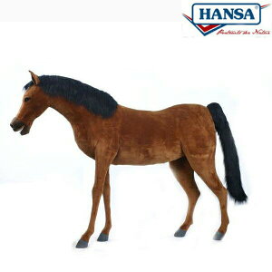 HANSA 5447 Tubh175 SF175cm THOROUGHBRED BH5447 ʂ nT NX}X a v[g   L   yM Aj} u l` tBMA KOESEN P[Z 傫 }