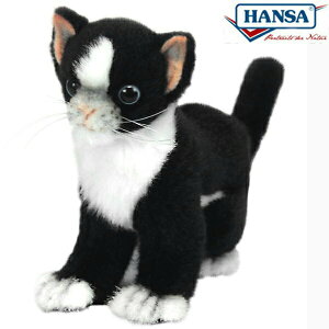HANSA 6487 lR(R)@ubN16 SF16cm KITTEN BLK BH6487 ʂ nT qL NX}X a v[g   L   yM Aj} u l` tBMA KOESEN P[Z 