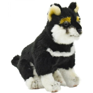 HANSA 7249 NVo(R)22 SF22cm DOG SHIBA PUP BH7249 ʂ nT Č  Č q NX}X a v[g   L   yM Aj} u l` tBMA KOESEN