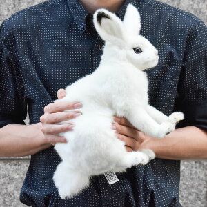 HANSA 7851 zbLNETM 30 SF30cm ARCTIC HARE BH7751 k ʂ nT  e NX}X a v[g   L   yM Aj} u l` tBMA KOESEN P