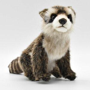 HANSA 2649 ACO}23 SF23cm DIAMOND RACCON BH2649 ʂ nT NX}X a v[g   L   yM Aj} u l` tBMA KOESEN P[Z 傫 }X