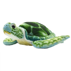 HANSA 7255 AIE~K28 SF28cm GREEN TURTLE BH7255 ʂ nT T NX}X a v[g   L   yM Aj} u l` tBMA KOESEN P[Z 傫 }