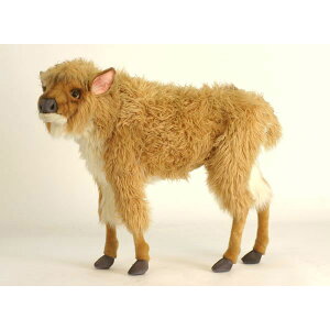 HANSA qAJoC\96 L96(cm) 5163 ʂ nT NX}X a v[g   L   yM Aj} u l` tBMA KOESEN P[Z 傫 }XRbg 