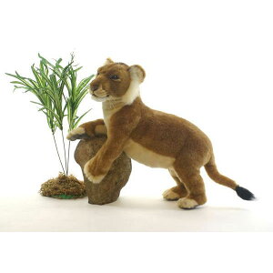 HANSA qCI42 L42(cm) 5745 ʂ nT NX}X a v[g   L   yM Aj} u l` tBMA KOESEN P[Z 傫 }XRbg  ^