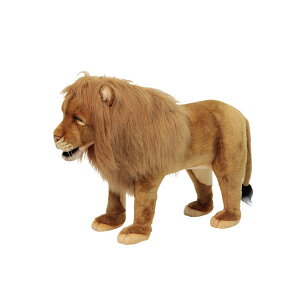 HANSA Xc[CI82 L82(cm) 6079 ʂ nT CX ֎q | pߋ i a v[g   L   yM Aj} u l` tBMA KOESEN P[Z 傫