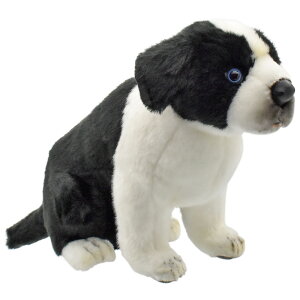 HANSA 5664 {[_[R[(R)35 SF35cm BORDER COL BH5664 ʂ nT NX}X a v[g   L   yM Aj} u l` tBMA KOESEN P[Z 傫 