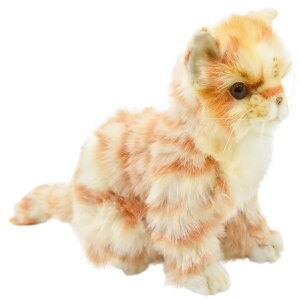 HANSA 6492 lR(R)@WW[20 SF20cm KITTEN GI BH6492 ʂ nT qL NX}X a v[g   L   yM Aj} u l` tBMA KOESEN P[Z 