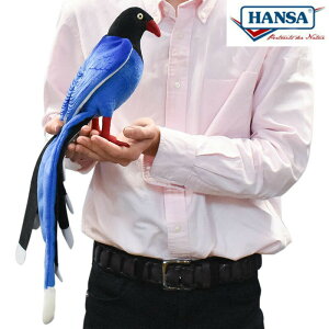 HANSA 7137 }X 19 pŗL ^CAIJTTM SF19cm TAIWAN BLUE MAGPIE ʂ nT NX}X a v[g   L   yM Aj} u l` tBM