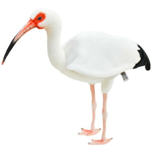 HANSA8192 VgL 54cm WHITE IBIS BH8192   gL ʂ nT NX}X a v[g   L   yM Aj} u l` tBMA P[Z 傫 }XRbg 