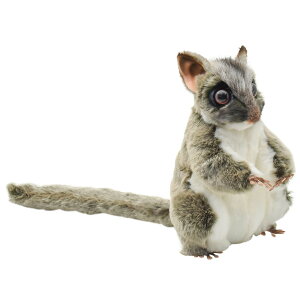 HANSA 7482 tNK22 SF22cm SUGAR GLIDER BH7482 ʂ nT NX}X a v[g   L   yM Aj} u l` tBMA KOESEN P[Z 傫 }