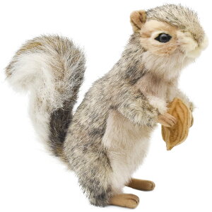 HANSA 4841 nCCX21 SF21cm GREY SQUIRREL BH4841 ʂ nT NX}X a v[g   L   yM Aj} u l` tBMA KOESEN P[Z 傫 }X