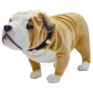 HANSA ueBbVuhbO63 L63(cm) 5626 ʂ nT NX}X a v[g   L   yM Aj} u l` tBMA KOESEN P[Z 傫 }XRbg