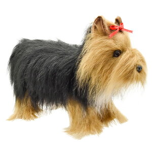 HANSA 5909 [NV[eA36 L36(cm) ʂ nT NX}X a v[g   L   yM Aj} u l` tBMA KOESEN P[Z 傫 }XRbg 