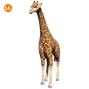 HANSA 6908 L180 168cm GIRAFFE BH6908 ʂ nT NX}X a v[g   L   yM Aj} u l` tBMA KOESEN P[Z 傫 }XRbg 