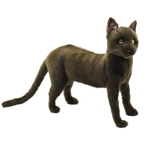 HANSA 7027 NlR37 SF37cm CAT STANDINGBOMBAY BH7027 ʂ nT L NX}X a v[g   L   yM Aj} u l` tBMA KOESEN P[Z 傫 