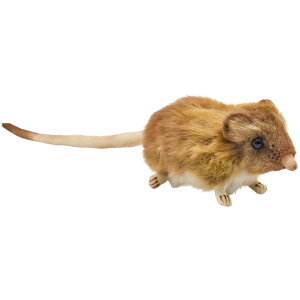 HANSA 7233 nlWlY~12 SF12cm ELEPHANT MOUSE BH7233 ʂ nT NX}X a v[g   L   yM Aj} u l` tBMA KOESEN P[Z 傫 }