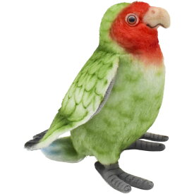 【HANSA 7254】 コザクラインコ13 全長：13cm R FACEDL BIRDS BH7254 ぬいぐるみ ハンサ クリスマス 誕生日 プレゼント 動物 犬 猫 鳥 うさぎ ペンギン アニマル 置物 人形 フィギュア KOESEN ケーセン 大きい マスコット 実物大 大型