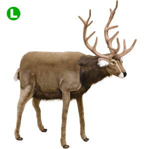 HANSA 3366 VJ108 SF108cm DEER BH3366 ʂ nT   or NX}X a v[g   L   yM Aj} u l` tBMA KOESEN P[Z 傫 }