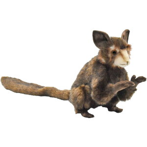 HANSA 5166 ACAC20 SF20cm AYE AYE BH5166 ʂ nT NX}X a v[g   L   yM Aj} u l` tBMA KOESEN P[Z 傫 }XRbg 