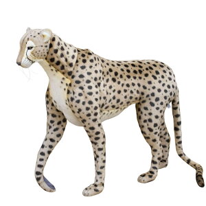 HANSA 6544 `[^[125 SF125cm CHEETAH JACQU STA BH6544 ʂ nT NX}X a v[g   L   yM Aj} u l` tBMA KOESEN P[Z 傫 }X