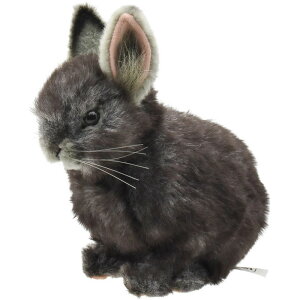 HANSA BH8129 sO~[ETM O[ 18 PYGMY RABBIT ETM A ʂ nT a v[g   L   yM Aj} u l` tBMA 傫 }XRbg 