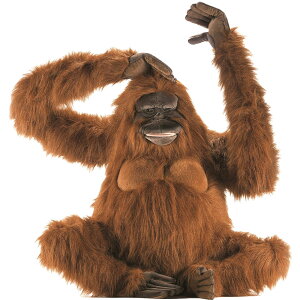 HANSA BH3396 IE[^ 80 ORANGUTAN A ʂ nT NX}X a v[g   L   yM Aj} u l` tBMA KOESEN P[Z 傫 }XRbg