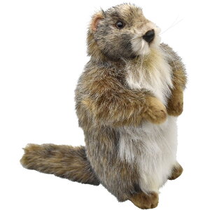 HANSA 3830 }[bg20 SF20cm MARMOT BH3830 ʂ nT X NX}X a v[g   L   yM Aj} u l` tBMA KOESEN P[Z 傫 }XR