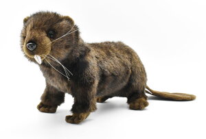 HANSA r[o[35 L35(cm) 4274 ʂ nT NX}X a v[g   L   yM Aj} u l` tBMA KOESEN P[Z 傫 }XRbg  ^