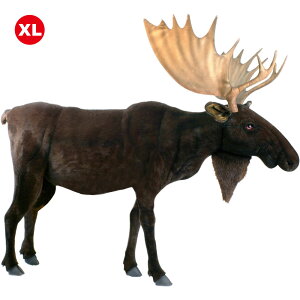 HANSA 5523 wWJ235 SF235cm MOOSE STANDING BH5523 ʂ nT giJC  or NX}X a v[g   L   yM Aj} u l` tBMA KOESEN P