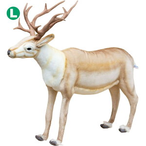 HANSA giJC90 L90(cm) 5605 ʂ nT NX}X a v[g   L   yM Aj} u l` tBMA KOESEN P[Z 傫 }XRbg  ^