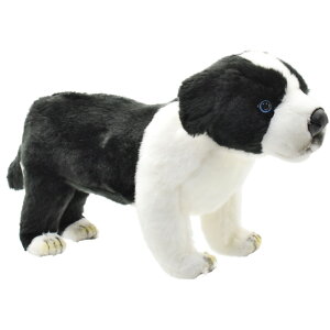 HANSA 5663 {[_[R[(e)39 SF39cm BORDER COL BH5663 q ʂ nT NX}X a v[g   L   yM Aj} u l` tBMA KOESEN P[Z 