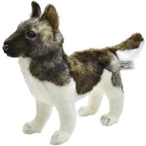 HANSA 6143 AL^P28 SF28cm AKITA DOG BH6143 ʂ nT Hc NX}X a v[g   L   yM Aj} u l` tBMA KOESEN P[Z 傫 }