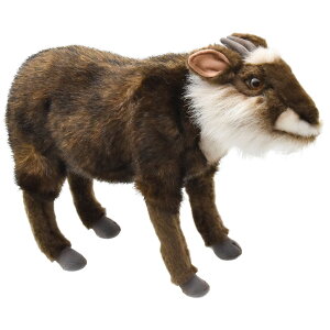 HANSA BH6213 jzJVJ 32 JAPANESE SEROW 32cm VRLO A ʂ nT NX}X a v[g  Aj} u l` tBMA KOESEN P[Z 傫 }XRbg 