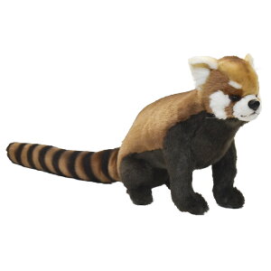 HANSA 6301 レッサーパンダ61 全長:61cm RED PANDA SIT BH6301 ぬいぐるみ ハンサ クリスマス 誕生日 プレゼント 動物 犬 猫 鳥 うさぎ ペンギン アニマル 置物 人形 フィギュア KOESEN ケーセン 大きい マ