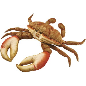 HANSA BH6312 カニ オレンジ 35 CRAB 蟹 リアル ぬいぐるみ ハンサ 誕生日 プレゼント 動物 犬 猫 鳥 うさぎ ペンギン アニマル 置物 人形 フィギュア 大きい マスコット 実物大 大型 ビッグ おすす